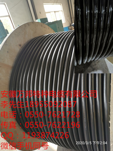 JKWYJGFP 4*10+4*2.5  垃圾車電纜，耐磨，耐溫，抗拉耐腐蝕。